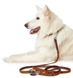 Solid Education Line 13/250 Cognac Hundesnor I Mange Varianter Og Materialer|Hundesnor Til Hvalpe