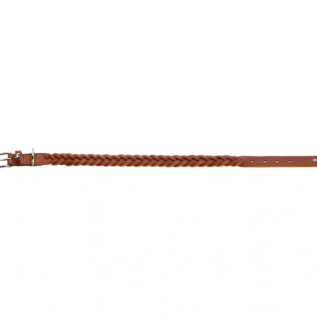Sale Solid Education Special Halsbånd 45 Cognac Hvalpehalsbånd - Bløde Og Sikre Halsbånd Med Perfekt Pasform Til Din Hvalp|Hundehalsbånd Med Stil - Komfort Og Sikkerhed Til Din Hund