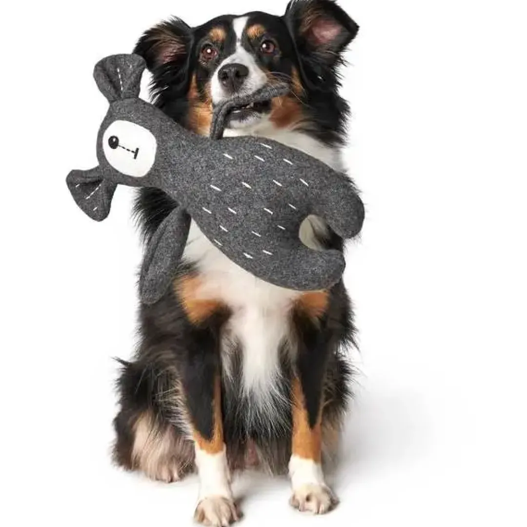 New Tirana Bjørn M - bamse til mellemstore hunde Hundelegetøj Til Alle Hunde Leg Og Aktivering Året Rundt|Legetøj Til Hvalpe - Sjov Leg, Aktivering Og Tryghed Fra Første Dag