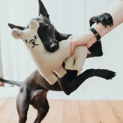 New Tirana Lama S - bamse til små hunde Hundelegetøj Til Alle Hunde Leg Og Aktivering Året Rundt|Legetøj Til Hvalpe - Sjov Leg, Aktivering Og Tryghed Fra Første Dag