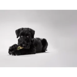 Sale Training Snack Dummy Sort M - træningslegetøj til hunde Hundelegetøj Til Alle Hunde Leg Og Aktivering Året Rundt|Legetøj Til Hvalpe - Sjov Leg, Aktivering Og Tryghed Fra Første Dag