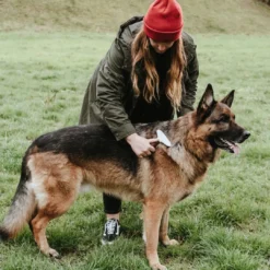 Outlet Udfiltringskam 2 rækker Plejemidler Til Hund Med Fokus På Sundhed Og Velvære|Pleje Af Hvalpe - Alt I Plejemidler Til Pels, Poter Og Hud