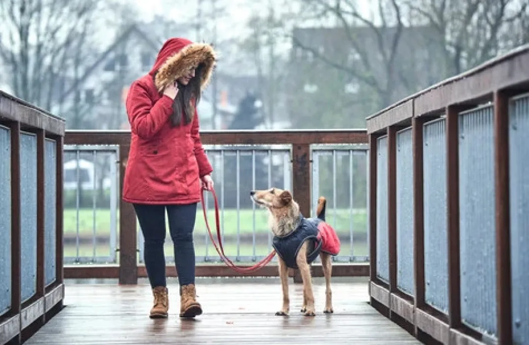 Best Uppsala COZY Hundefrakke Rød-Sort 30 cm Hundetøj Til Hvalpe - Varme Dækkener Og Sko Til Trygge Gåture|Hundetøj Til Alle Hunde Med Varme Dækkener Og Sko