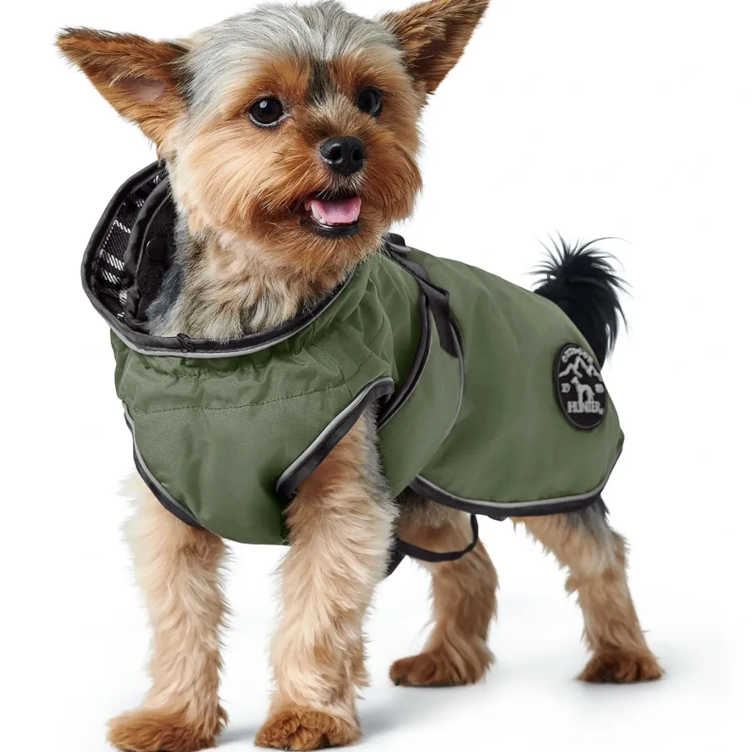 Sale Uppsala dækken Khaki grøn 30 cm Hundetøj Til Hvalpe - Varme Dækkener Og Sko Til Trygge Gåture|Hundetøj Til Alle Hunde Med Varme Dækkener Og Sko