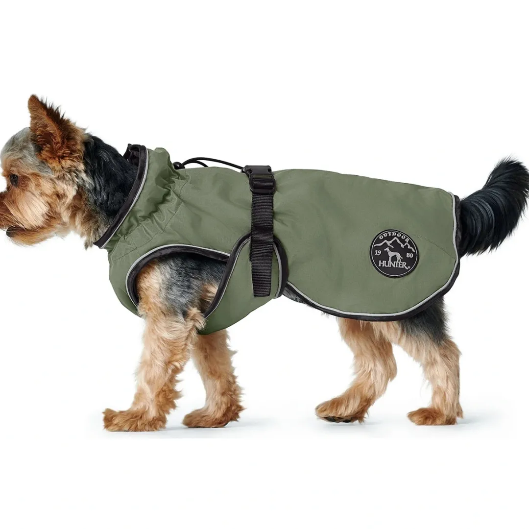 Sale Uppsala dækken Khaki grøn 30 cm Hundetøj Til Hvalpe - Varme Dækkener Og Sko Til Trygge Gåture|Hundetøj Til Alle Hunde Med Varme Dækkener Og Sko
