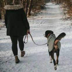 Sale Uppsala dækken Khaki grøn 30 cm Hundetøj Til Hvalpe - Varme Dækkener Og Sko Til Trygge Gåture|Hundetøj Til Alle Hunde Med Varme Dækkener Og Sko