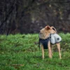 Uppsala Hundefrakke Grå 50 cm Hundetøj Til Hvalpe - Varme Dækkener Og Sko Til Trygge Gåture|Hundetøj Til Alle Hunde Med Varme Dækkener Og Sko