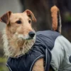 New Uppsala Hundefrakke Grå 30 cm Hundetøj Til Hvalpe - Varme Dækkener Og Sko Til Trygge Gåture|Hundetøj Til Alle Hunde Med Varme Dækkener Og Sko