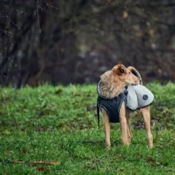 Sale Uppsala Hundefrakke Grå 25 cm Hundetøj Til Hvalpe - Varme Dækkener Og Sko Til Trygge Gåture|Hundetøj Til Alle Hunde Med Varme Dækkener Og Sko