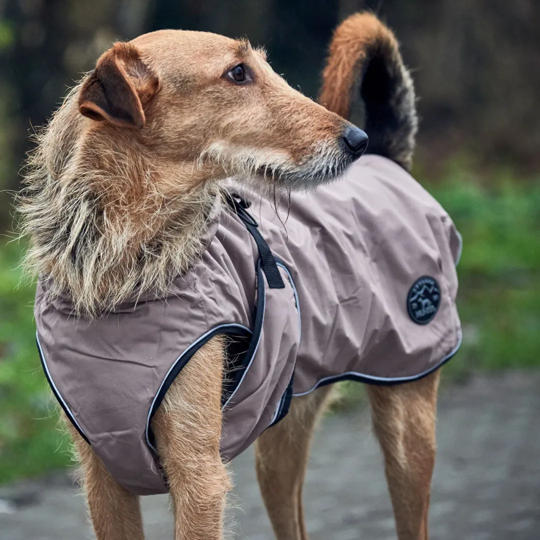 Clearance Uppsala Hundefrakke 2i1 str. 55 brun Hundetøj Til Hvalpe - Varme Dækkener Og Sko Til Trygge Gåture|Hundetøj Til Alle Hunde Med Varme Dækkener Og Sko