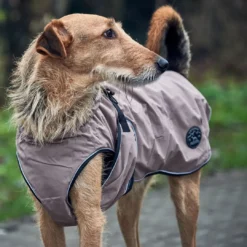 Online Uppsala Hundefrakke 2i1 str. 70 brun Hundetøj Til Hvalpe - Varme Dækkener Og Sko Til Trygge Gåture|Hundetøj Til Alle Hunde Med Varme Dækkener Og Sko