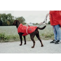 Uppsala Regnfrakke Rød 60 cm Hundetøj Til Hvalpe - Varme Dækkener Og Sko Til Trygge Gåture|Hundetøj Til Alle Hunde Med Varme Dækkener Og Sko