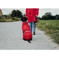 Sale Uppsala Regnfrakke Rød 75 cm Hundetøj Til Hvalpe - Varme Dækkener Og Sko Til Trygge Gåture|Hundetøj Til Alle Hunde Med Varme Dækkener Og Sko