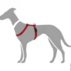 Best Vario Rapid hundesele Rød XXS hals 25-40 cm - let og synlig komfort Hvalpeseler - Bløde Justerbare Seler Der Giver Din Hvalp Tryghed Og Støtte På Turen|Hundeseler Til Alle Behov Og Hundestørrelser