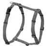 Sale Vario Rapid hundesele Grå XS-S mave 38-52 cm - let og sikker komfort Hvalpeseler - Bløde Justerbare Seler Der Giver Din Hvalp Tryghed Og Støtte På Turen|Hundeseler Til Alle Behov Og Hundestørrelser