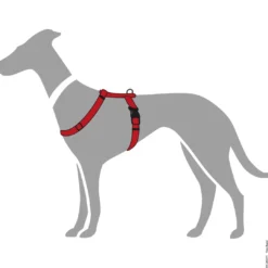 Sale Vario Rapid hundesele Rød M-L mave 64-100 cm - let og sikker komfort Hvalpeseler - Bløde Justerbare Seler Der Giver Din Hvalp Tryghed Og Støtte På Turen|Hundeseler Til Alle Behov Og Hundestørrelser