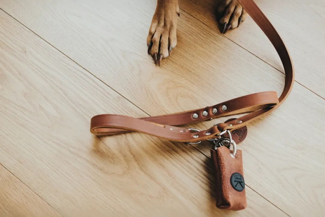 New Yuna høm høm holder Cognac Hundetilbehør Til Hvalpe - Tryg Start I Hverdagen|Tilbehør Til Hund - Alt Til En Glad Og Tryg Hverdag For Din Bedste Ven