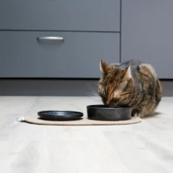 Sale Jasper Black Dots Ø 13,5 cm 200 ml Hundeskåle Til Mad Og Drikke Der Passer Til Din Hunds Behov|Hundeskåle Til Hvalpe - Praktisk, Sikker Og Nem Spisetid
