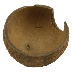 Clearance Cocos Cava 1/2 hule i stor Huler Til Terrarier