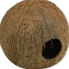 Clearance Cocos Cava hule 1/1 (stor) Huler Til Terrarier