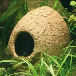 Best Keramik legehule Aquascaping