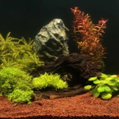 Sale Manado 5 liter Bundsubstrat til Planter Aquascaping|Akvarieplanter
