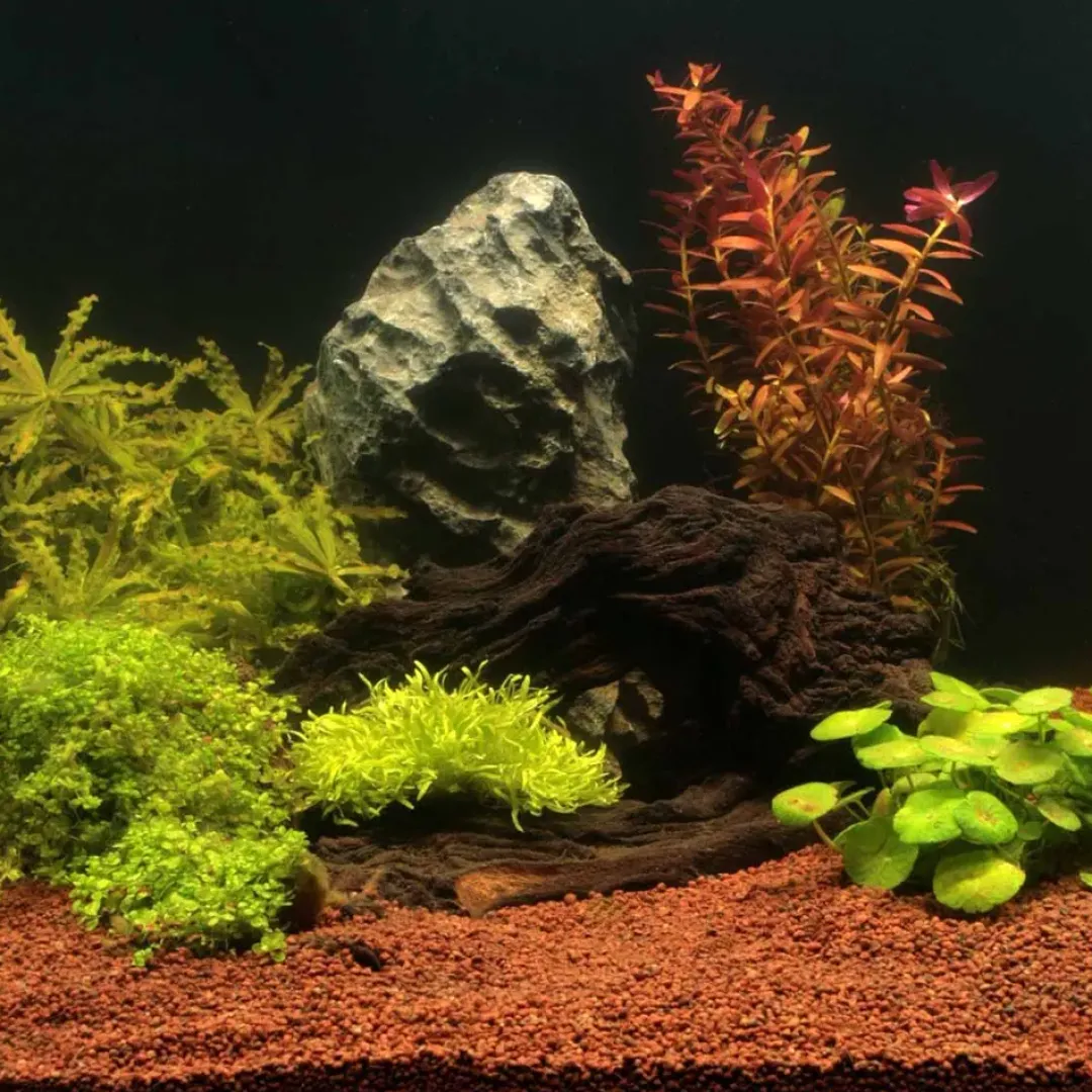 Sale Manado 5 liter Bundsubstrat til Planter Aquascaping|Akvarieplanter