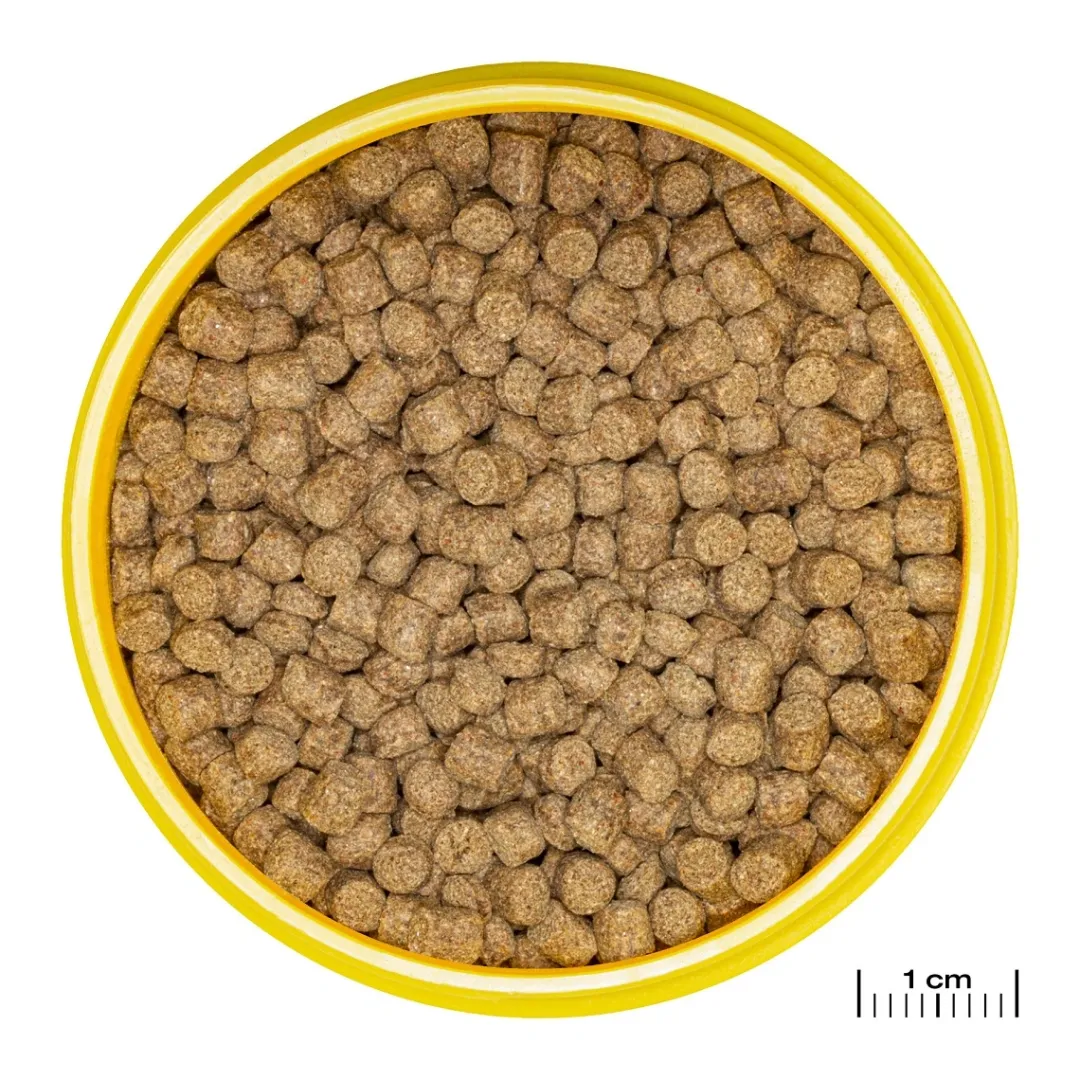 Sale NovoLotl M 250 ml (Til Axolotl) Fiskefoder Til Ferskvandsfisk|Foder & Vitaminer Til Krybdyr