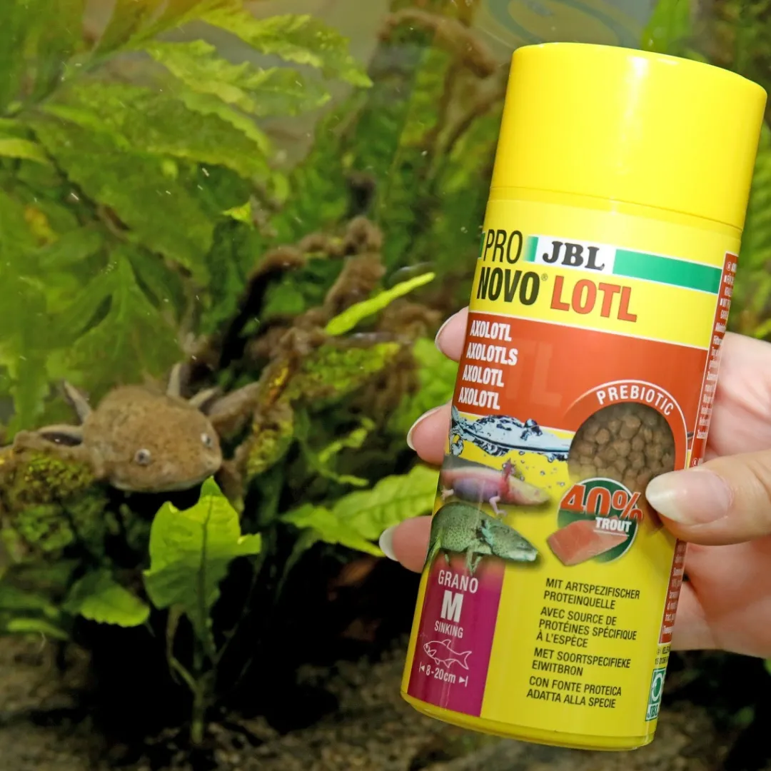 Sale NovoLotl M 250 ml (Til Axolotl) Fiskefoder Til Ferskvandsfisk|Foder & Vitaminer Til Krybdyr