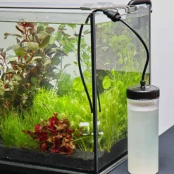 Best Proflora Co2 Basic Bio Set C02-Udstyr Til Akvarier