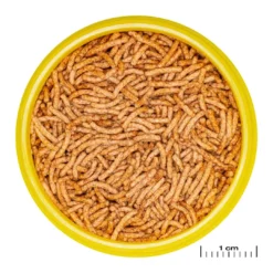 ProNovo Betta Insektsticks S 100 ml Fiskefoder Til Ferskvandsfisk