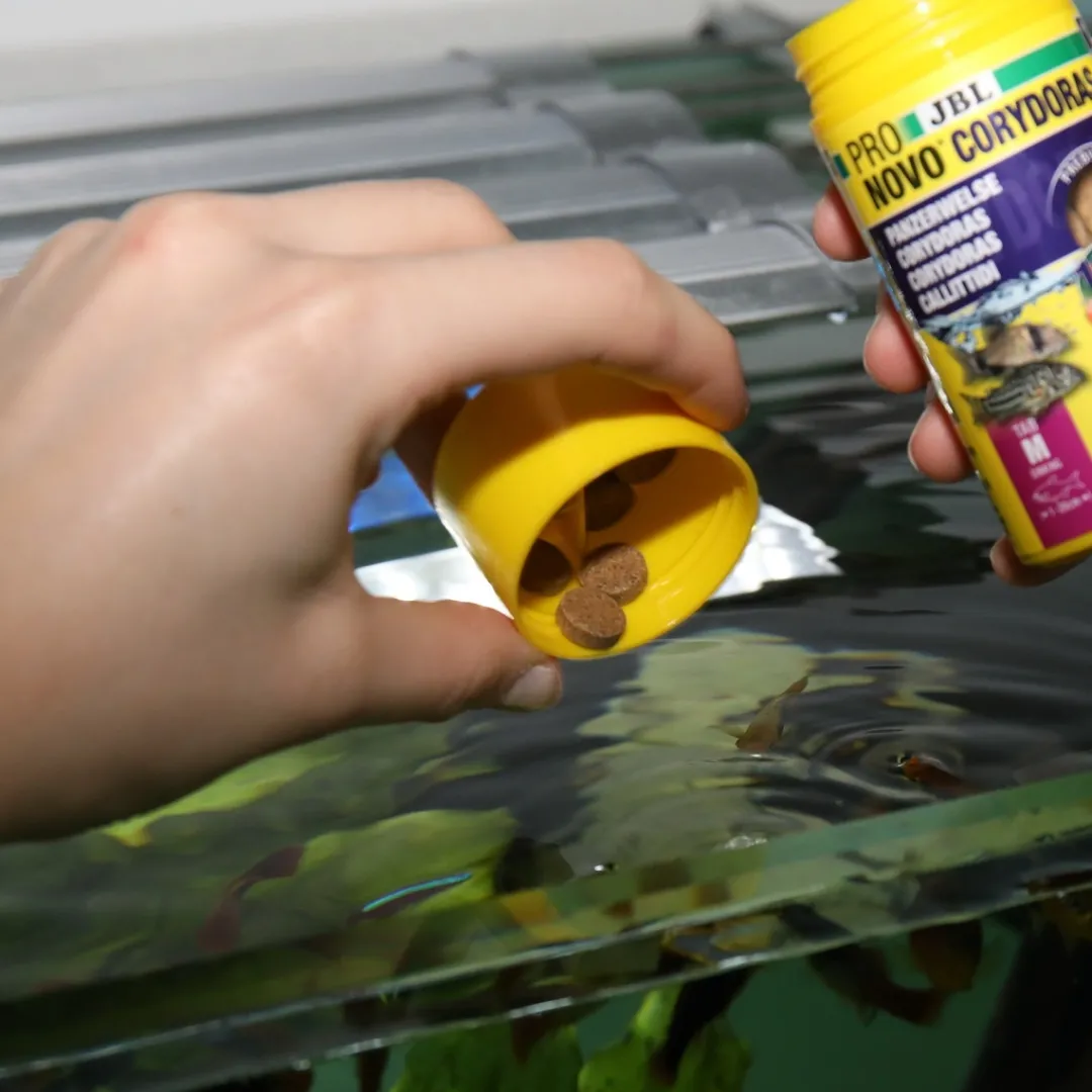 New ProNovo Corydoras Tab M 100 ml Fiskefoder Til Ferskvandsfisk