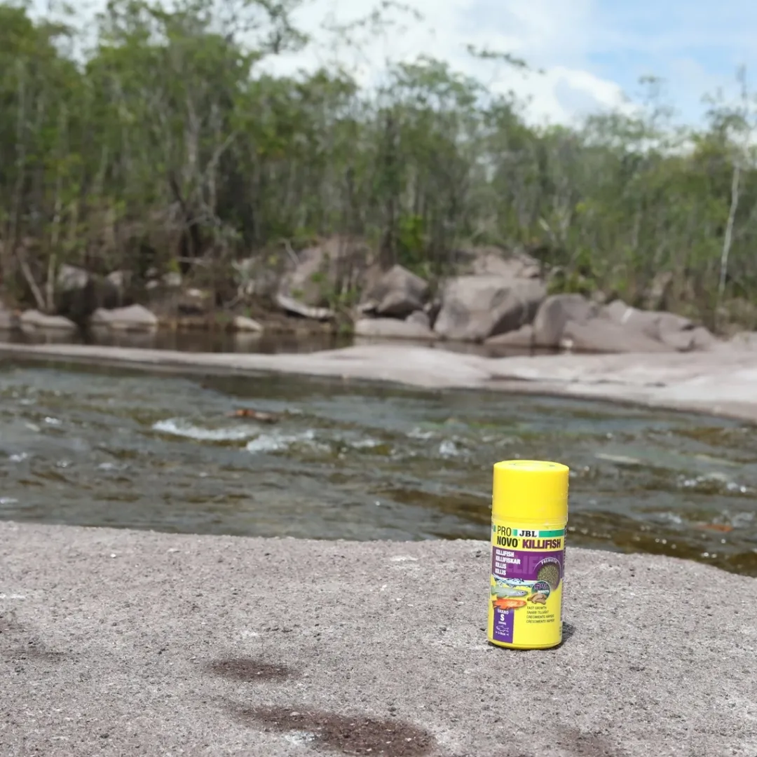 Discount ProNovo Killi fisk Grano S 100 ml Fiskefoder Til Ferskvandsfisk