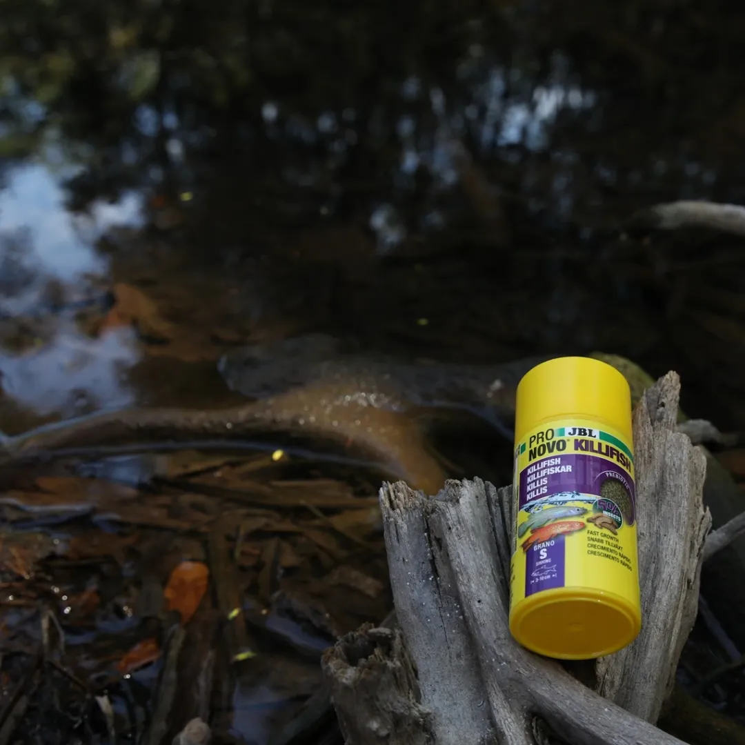 Discount ProNovo Killi fisk Grano S 100 ml Fiskefoder Til Ferskvandsfisk