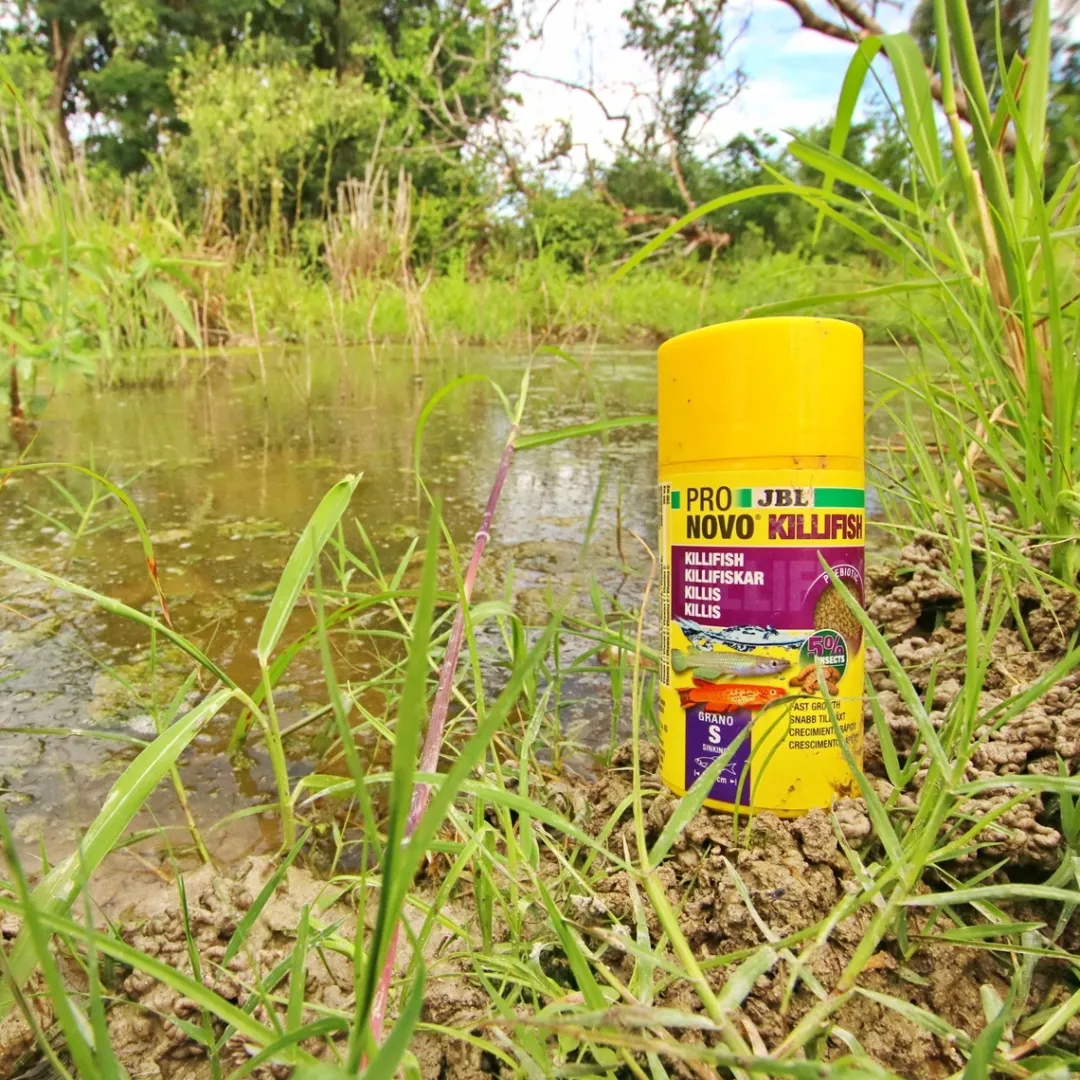 Discount ProNovo Killi fisk Grano S 100 ml Fiskefoder Til Ferskvandsfisk