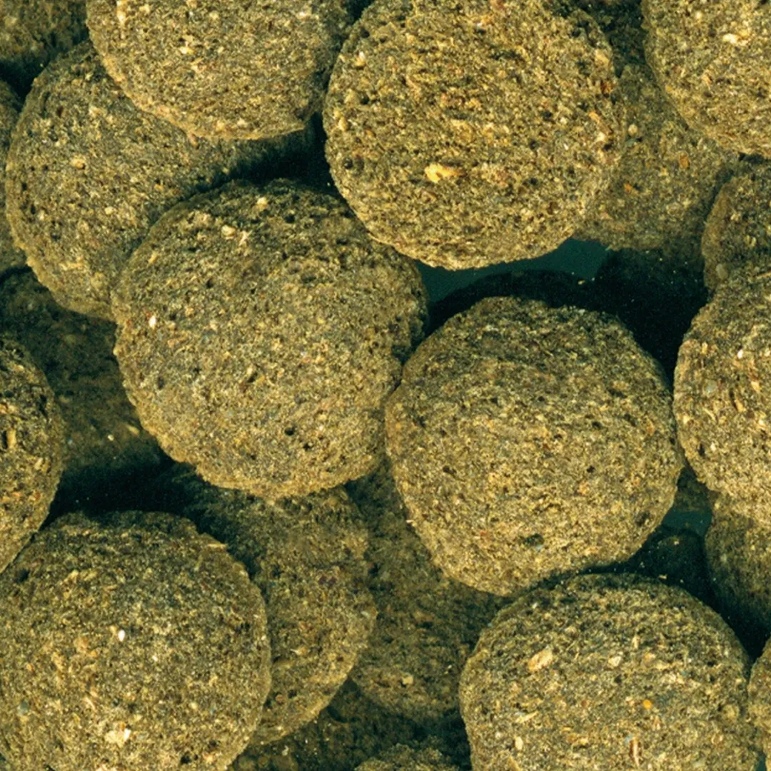 Discount ProNovo Pleco Wafer XL 250 ml Fiskefoder Til Ferskvandsfisk