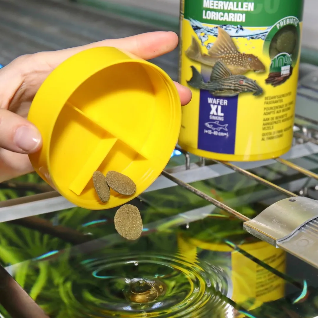 Hot ProNovo Pleco Wafer XL 1000 ml Fiskefoder Til Ferskvandsfisk