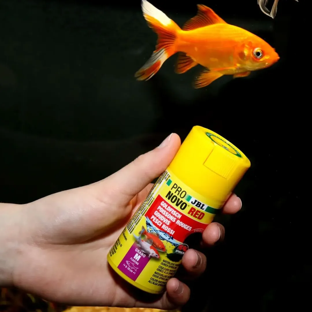 Clearance ProNovo Red Grano M Guldfiskefoder 250 ml Fiskefoder Til Ferskvandsfisk