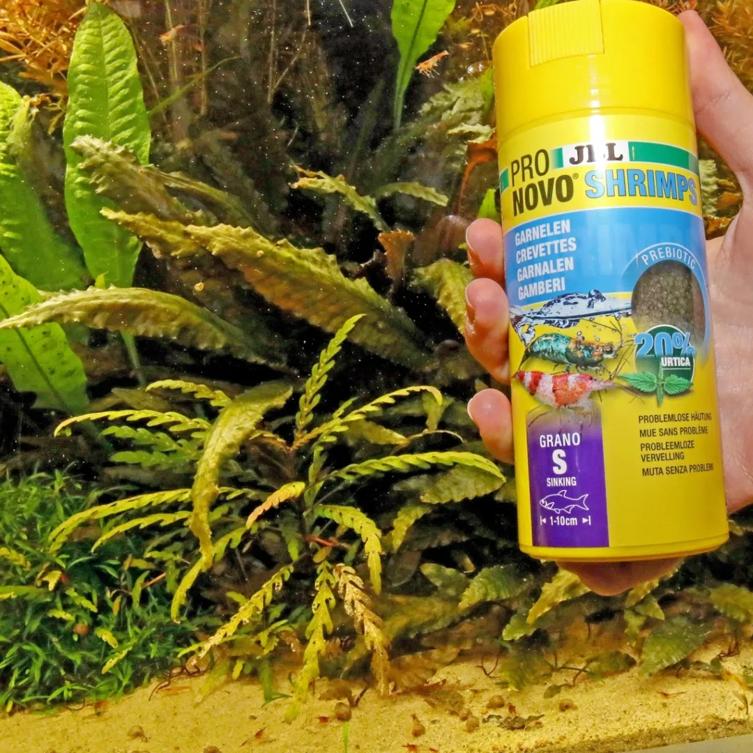Online ProNovo Shrimp Grano S Click 100 ml Fiskefoder Til Ferskvandsfisk