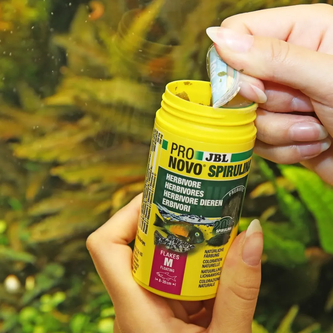 Online ProNovo Spirulina algeflager 100 ml Fiskefoder Til Ferskvandsfisk|Fiskefoder Til Saltvandsfisk