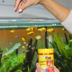 Best ProNovo Tab M 250 ml Fiskefoder Til Ferskvandsfisk