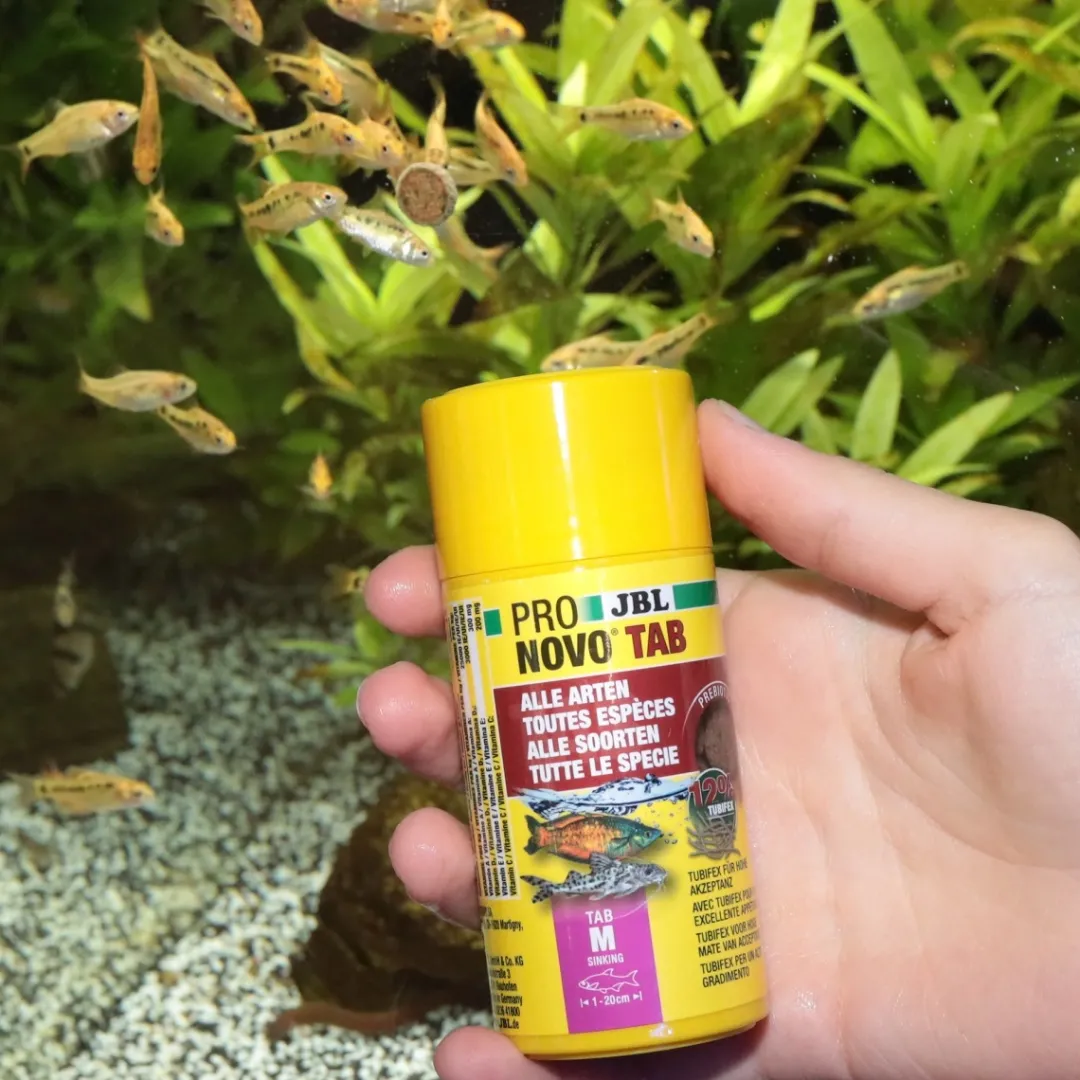 ProNovo Tab M 100 ml Fiskefoder Til Ferskvandsfisk