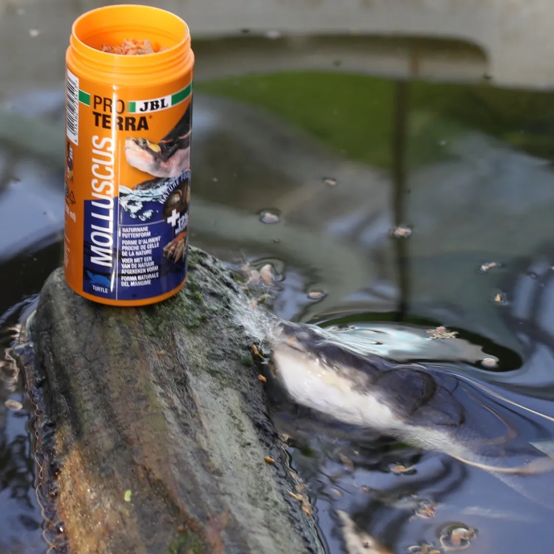 ProTerra Molluscus 2,5 Liter Skildpaddefoder Foder & Vitaminer Til Krybdyr