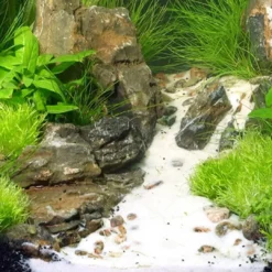 Online Sansibar Hvid 5 kg Akvariegrus Aquascaping
