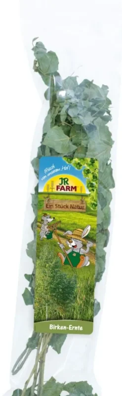 JR Et stykke natur Tørrede Birkegrene 40 g Foder & Snack Til Gnavere & Kanin
