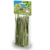 Discount Fennikel Sticks 15 g Foder & Snack Til Gnavere & Kanin