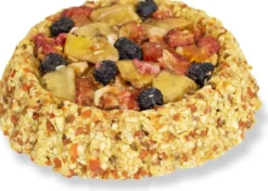 Hot Frugttærte 80 g Foder & Snack Til Gnavere & Kanin
