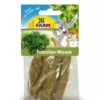 Hot Persillerod Foder & Snack Til Gnavere & Kanin