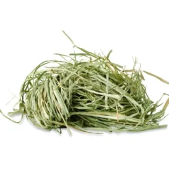 Hot Timothyhø 2,5 kg Foder & Snack Til Gnavere & Kanin