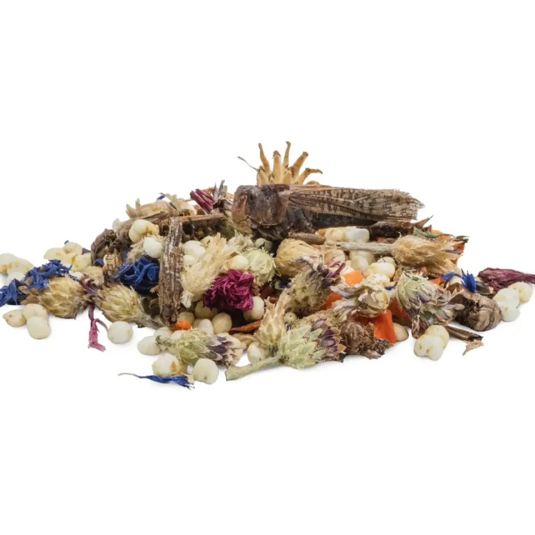 Online Tiny Treats Græshoppe Mix 150g Foder & Snack Til Gnavere & Kanin